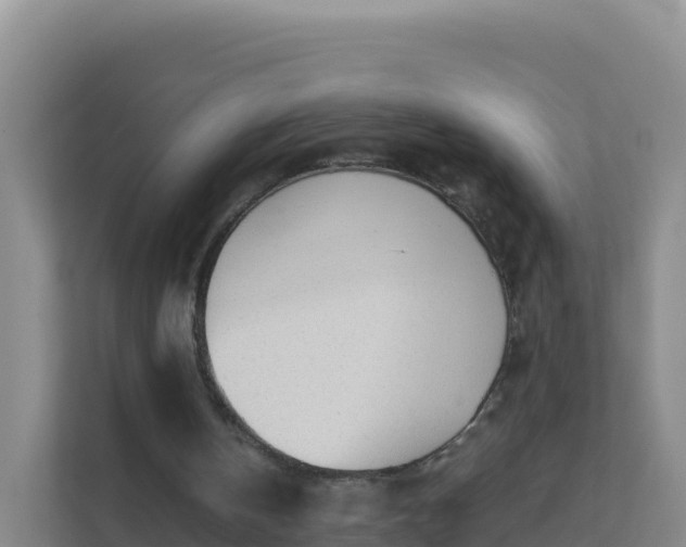 X0000111670146200907241219