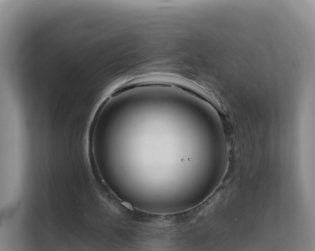 X0000111670148200907241219