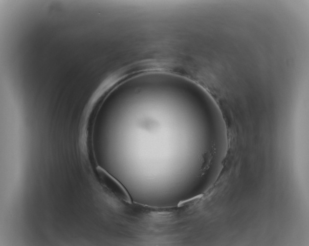 X0000111670150200907241219