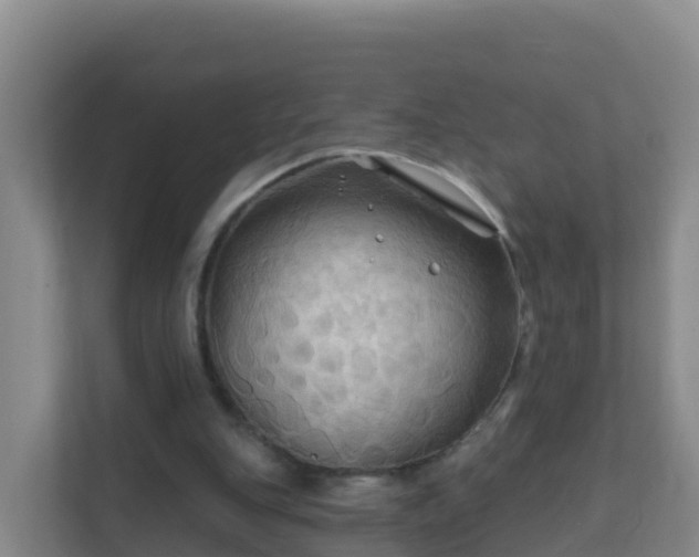 X0000111670151200907241219