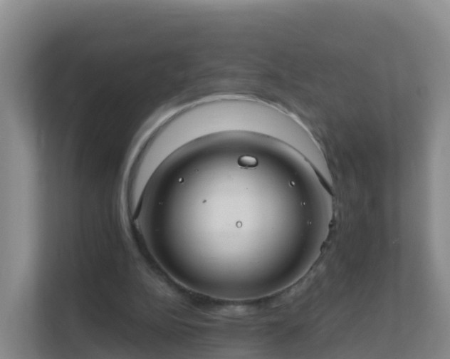 X0000111670152200907241219