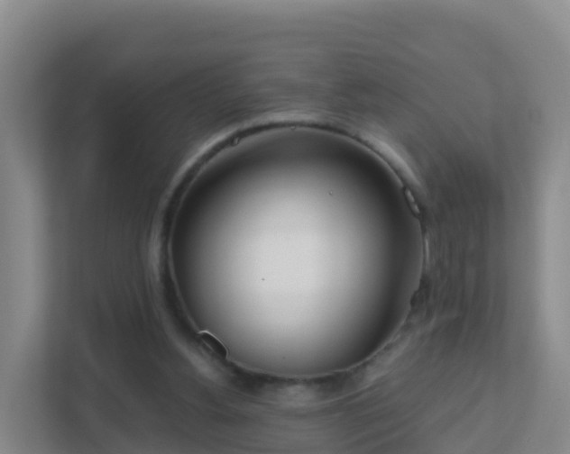 X0000111670156200907241219