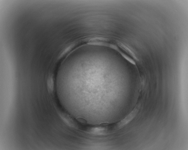 X0000111670158200907241219