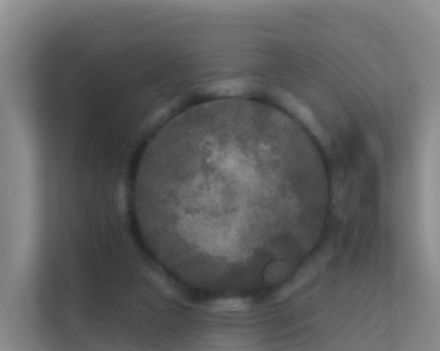 X0000111670161200907241219