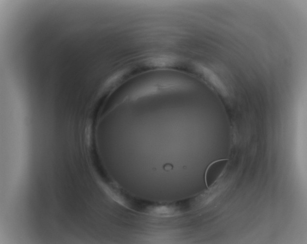 X0000111670163200907241219