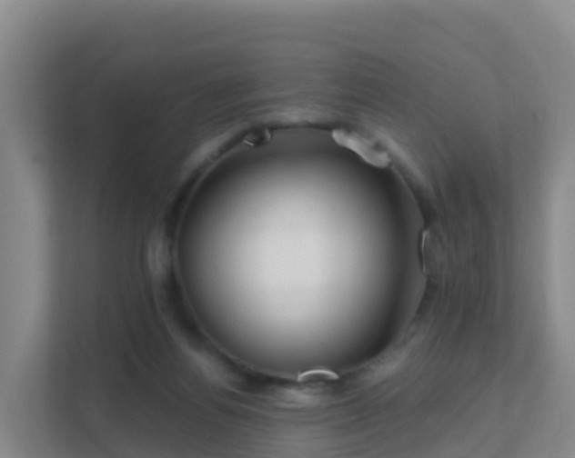 X0000111670164200907241219