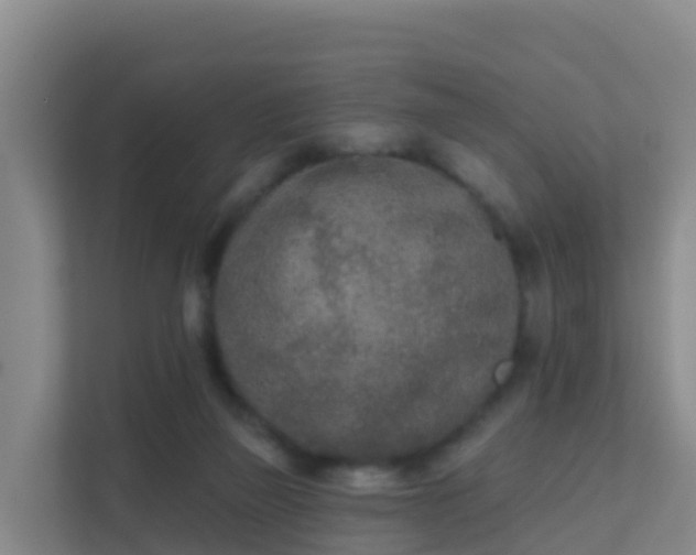 X0000111670165200907241219