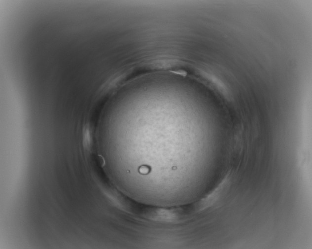 X0000111670166200907241219