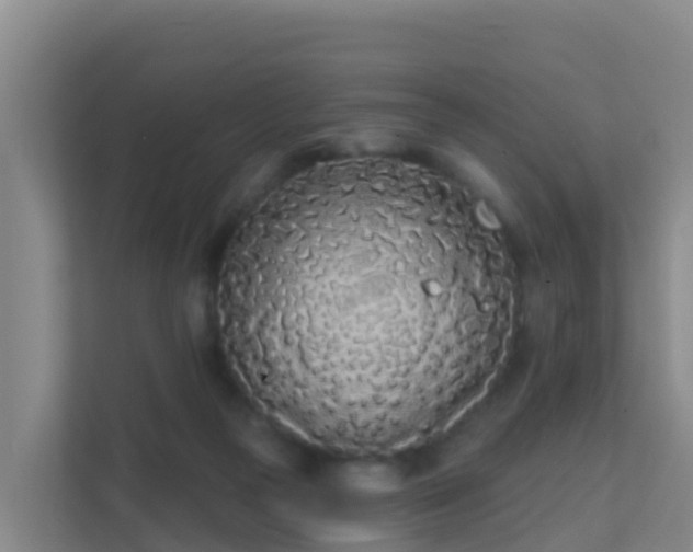 X0000111670169200907241219