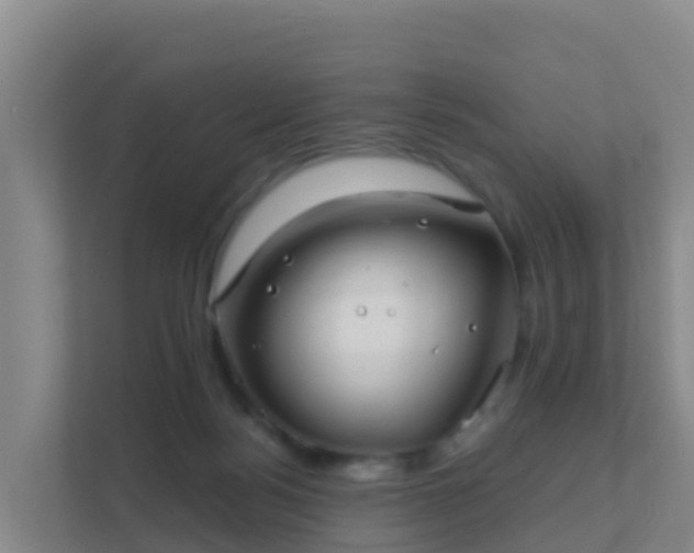 X0000111670172200907241219