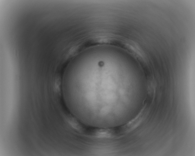 X0000111670175200907241219