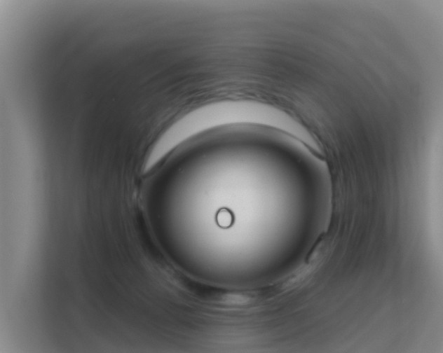 X0000111670176200907241219