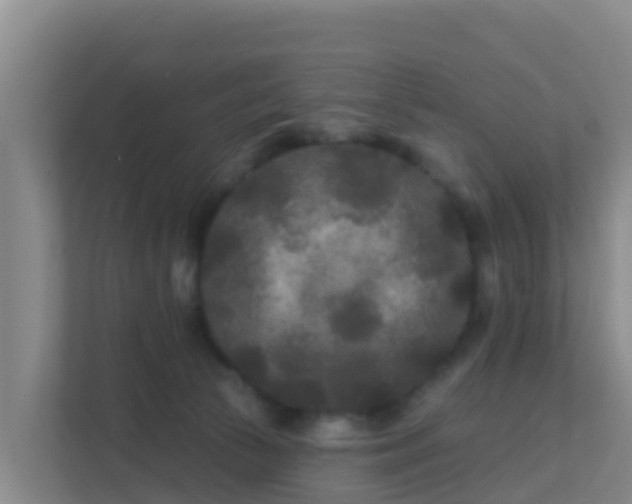 X0000111670177200907241219