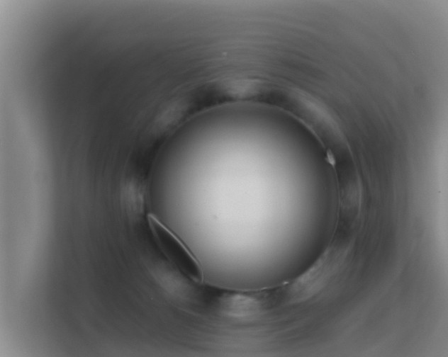 X0000111670180200907241219