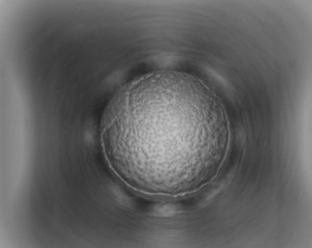 X0000111670181200907241219