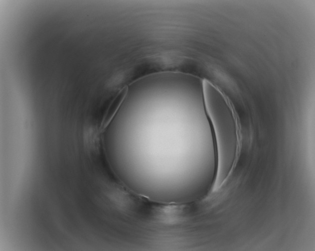 X0000111670184200907241219