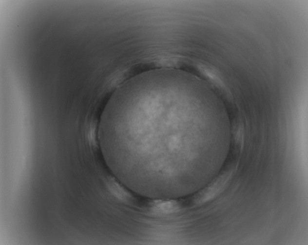 X0000111670185200907241219