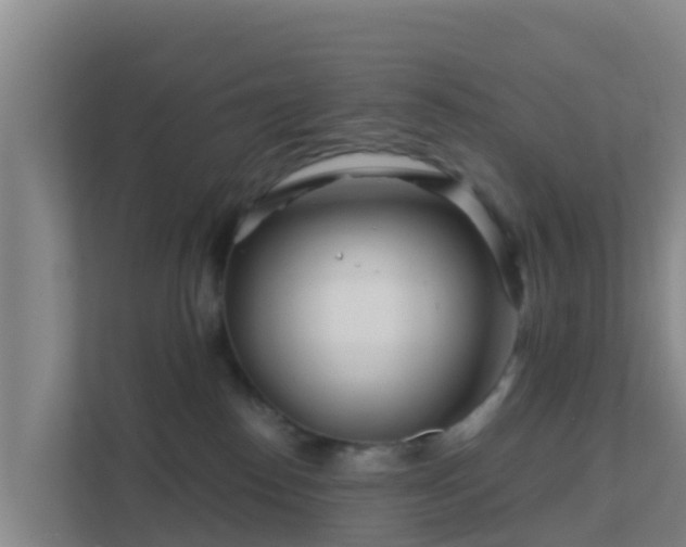 X0000111670186200907241219