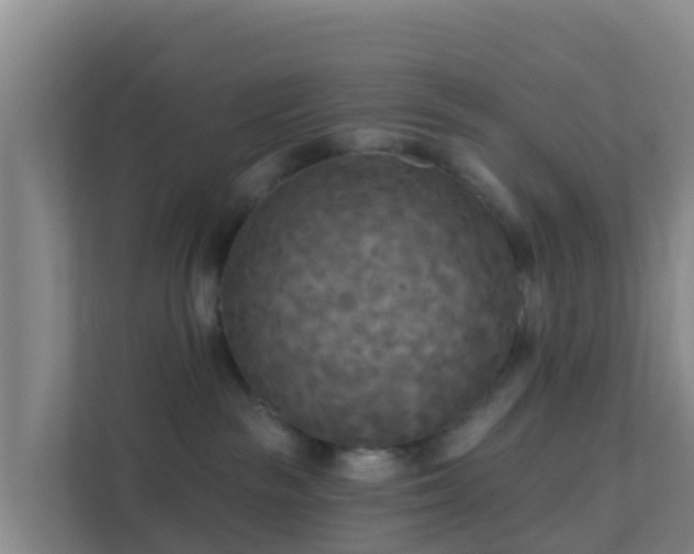 X0000111670189200907241219