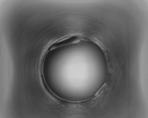 X0000111670193200907241219