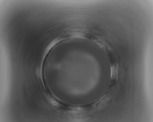 X0000111670195200907241219