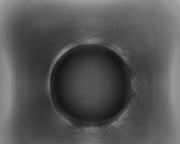 X0000111670196200907241219