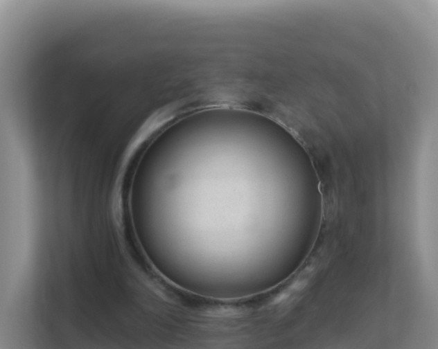 X0000111670198200907241219