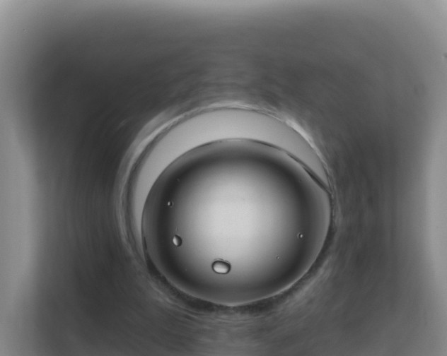 X0000111670199200907241219