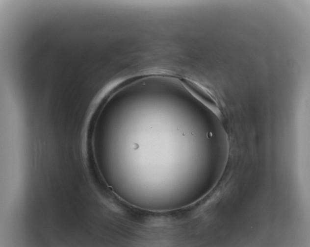 X0000111670200200907241219