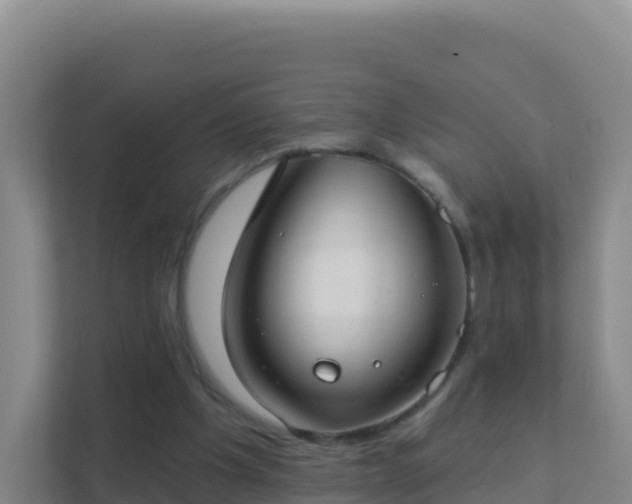 X0000111670201200907241219