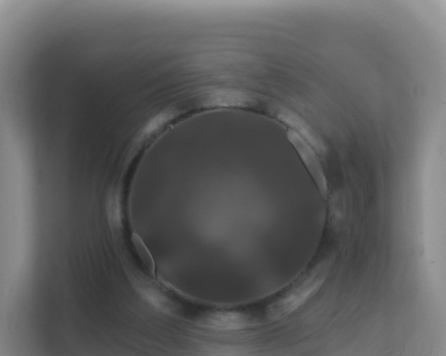 X0000111670203200907241219