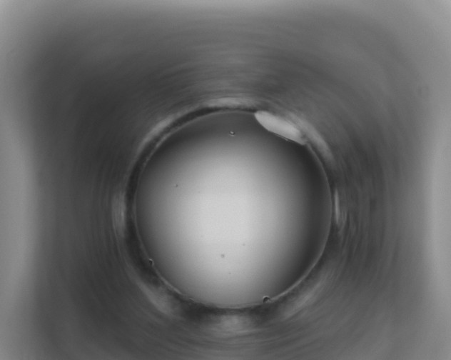 X0000111670204200907241219