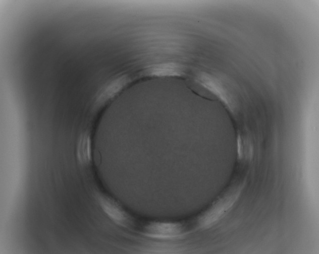 X0000111670205200907241219