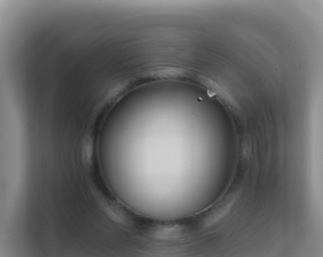 X0000111670206200907241219