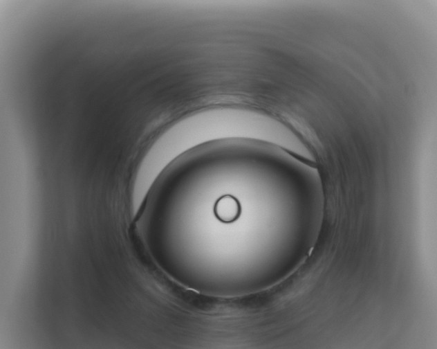 X0000111670207200907241219