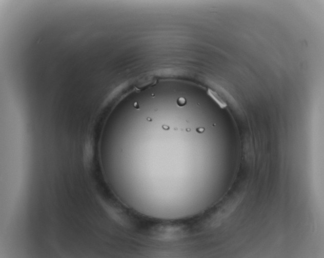 X0000111670208200907241219