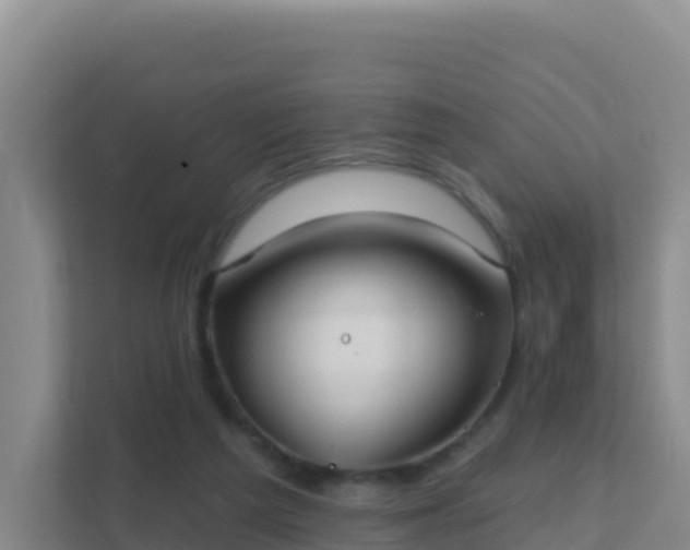 X0000111670209200907241219