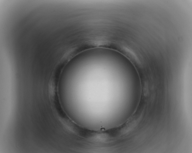 X0000111670210200907241219