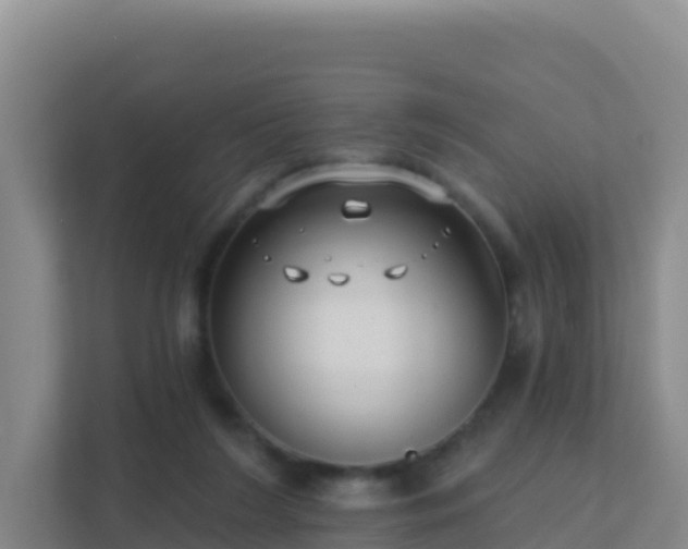 X0000111670212200907241219