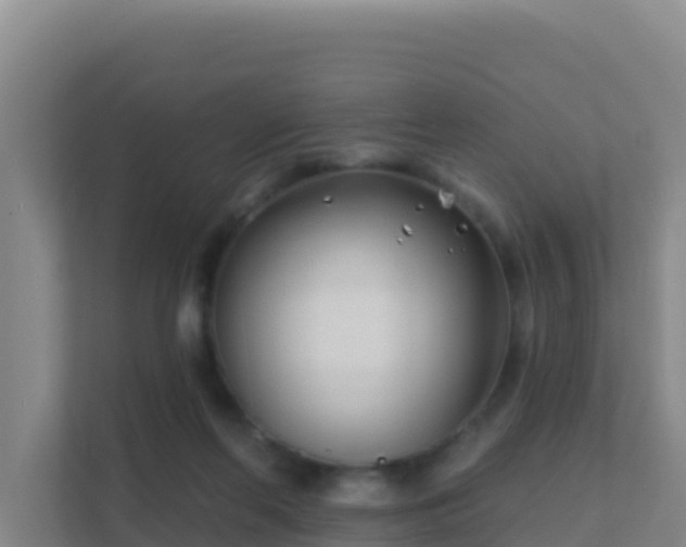 X0000111670214200907241219