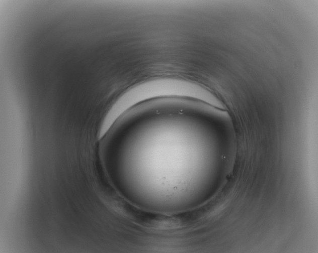 X0000111670215200907241219