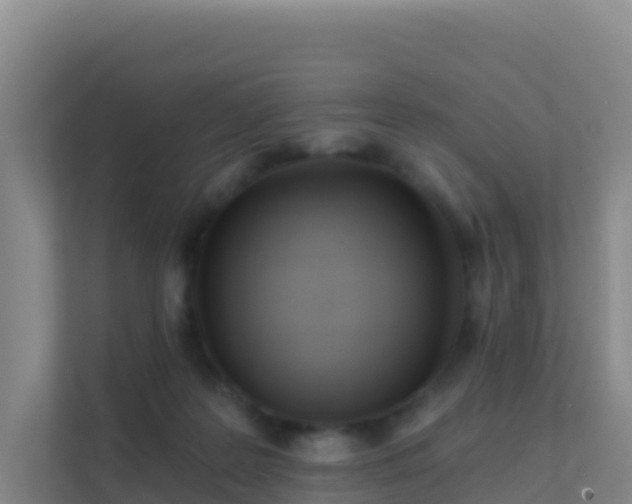 X0000111670219200907241219