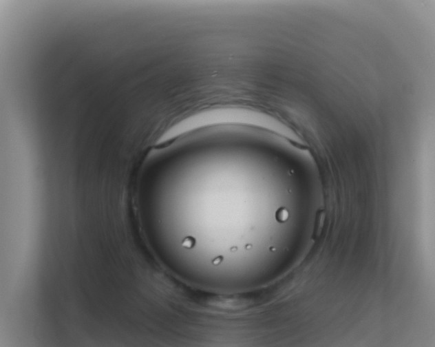 X0000111670221200907241219