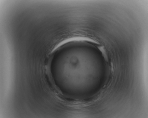 X0000111670223200907241219