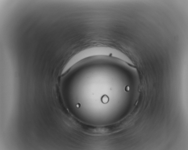 X0000111670225200907241218