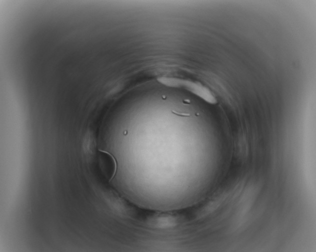 X0000111670228200907241218