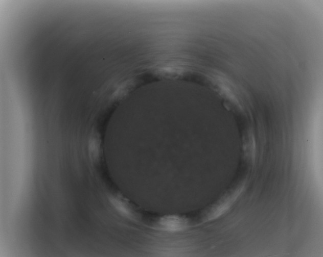 X0000111670231200907241218