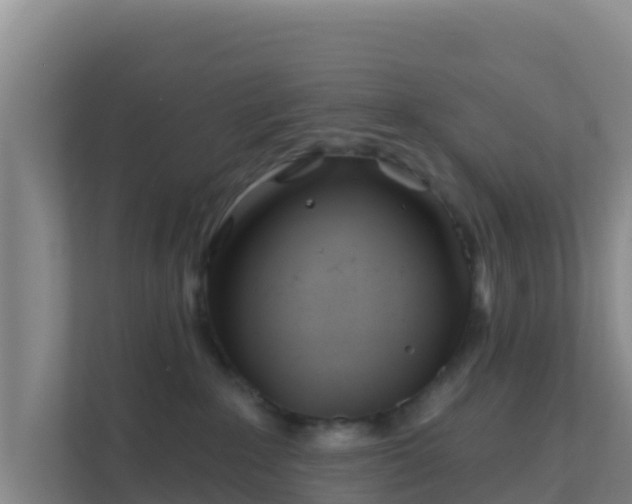 X0000111670235200907241218