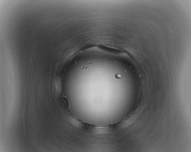 X0000111670240200907241218