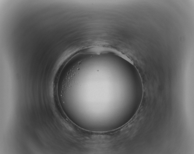 X0000111670242200907241218